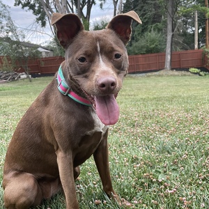 Fundraising Page: Megan Hanushek